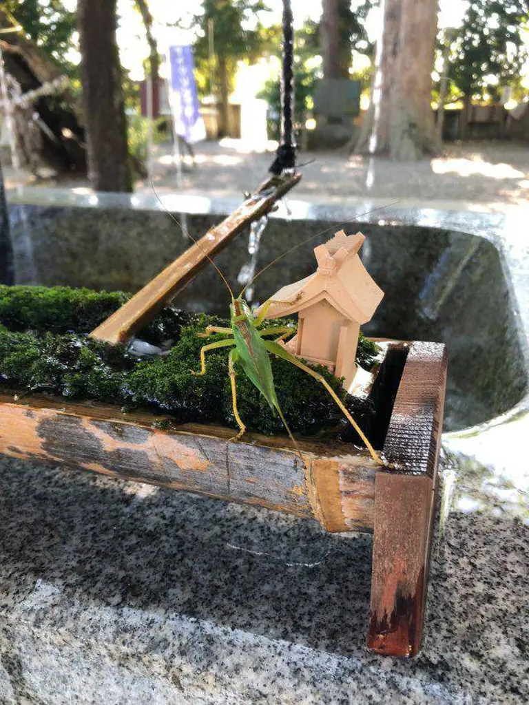 The Japanese Shrine That Built A Tiny Water Temple Just For Bees 5