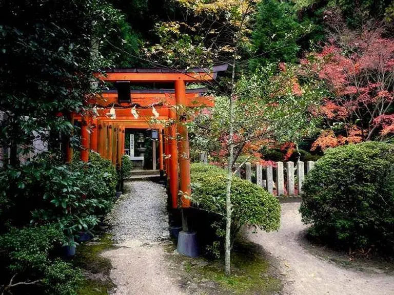 The Japanese Shrine That Built A Tiny Water Temple Just For Bees
