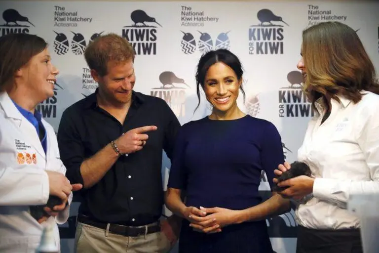 Where To See Kiwi Birds In New Zealand 1