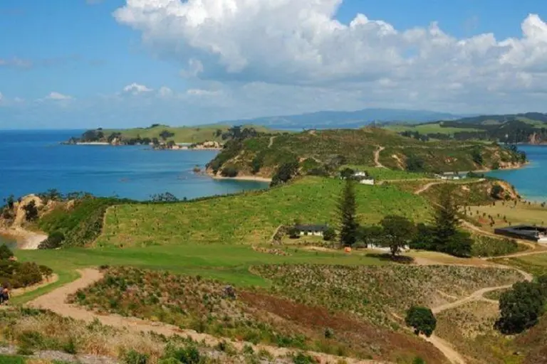 Where To See Kiwi Birds In New Zealand 2