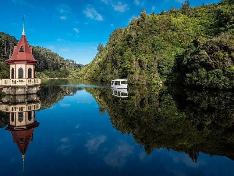 Where To See Kiwi Birds In New Zealand 7