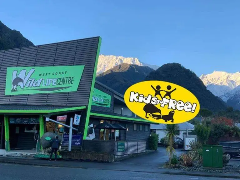 Where To See Kiwi Birds In New Zealand 9