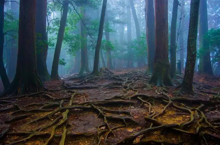 7 Mysterious Destinations In The Land 6-1