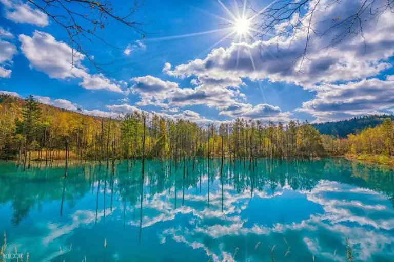 Astonishing Beauty Of The Sapphire-blue Pond In Japan 3
