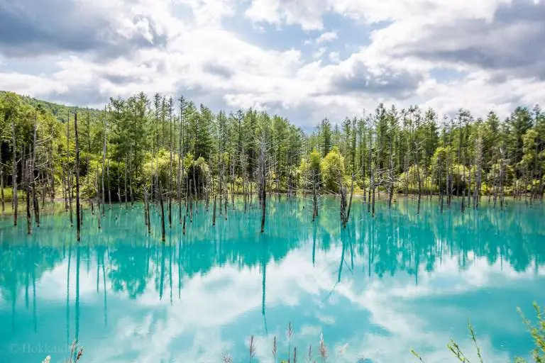 Astonishing Beauty Of The Sapphire-blue Pond In Japan