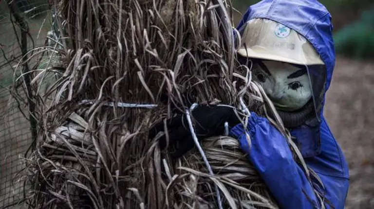 The World’s Most ‘lifelike’ Village With 300 Human-shaped Residents 3