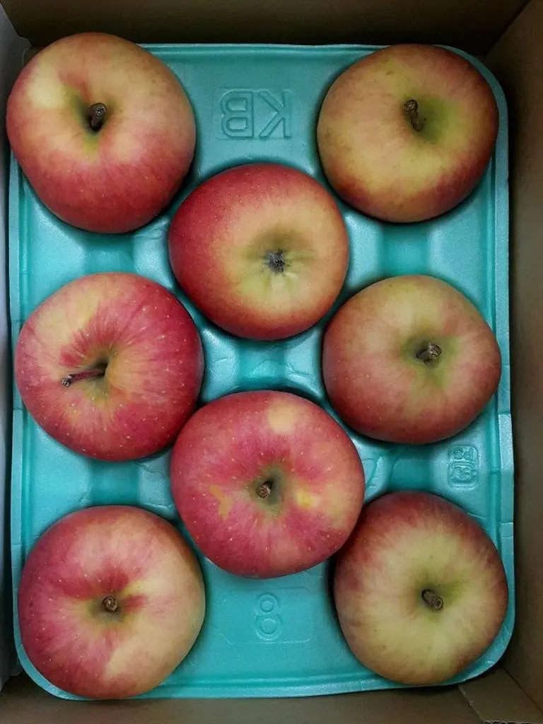 What Makes The World’s Most Expensive Apple 1