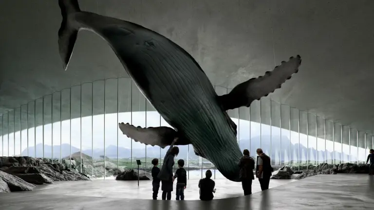 Uniquely designed whale watching museum in Norway 5