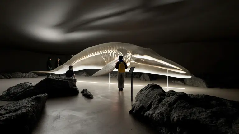 Uniquely designed whale watching museum in Norway 6