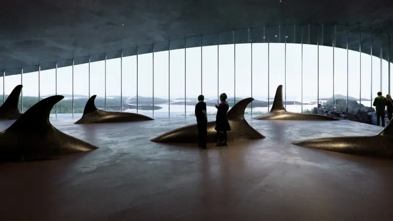 Uniquely designed whale watching museum in Norway 7