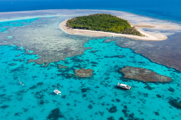 Ultimate Guide To The Great Barrier Reef 0