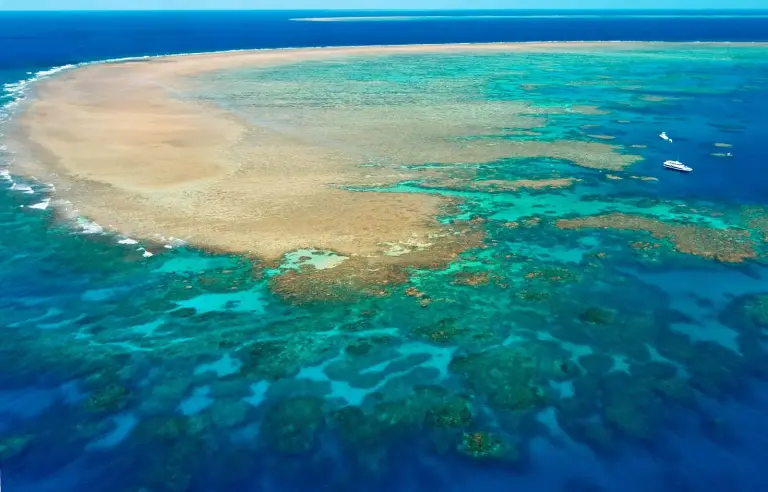 Ultimate Guide To The Great Barrier Reef