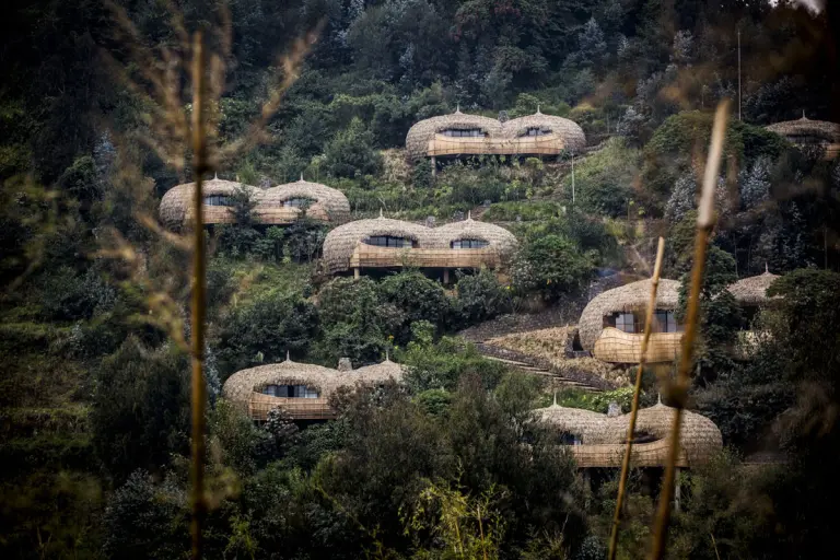 11 Most Popular Forest And Jungle Hotels In The World 3