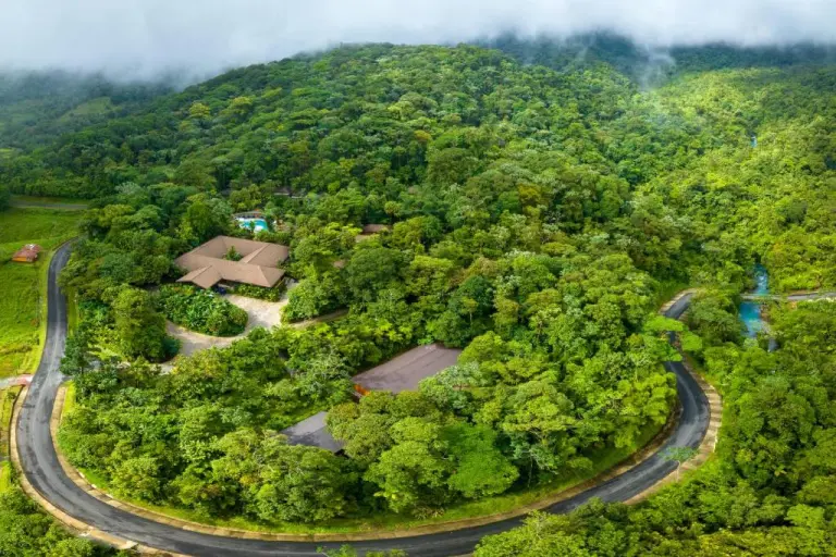 11 Most Popular Forest And Jungle Hotels In The World 5