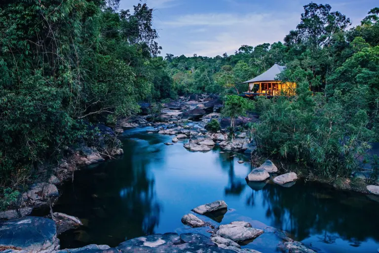 11 Most Popular Forest And Jungle Hotels In The World 6