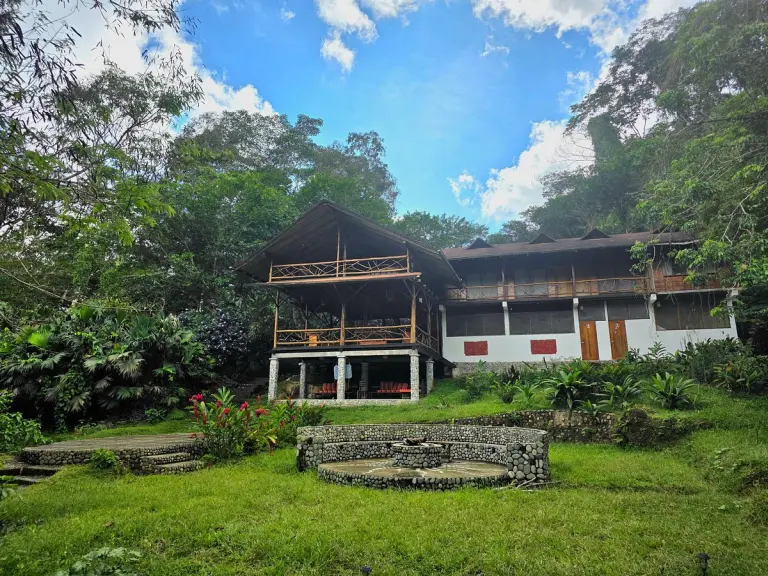 11 Most Popular Forest And Jungle Hotels In The World 9