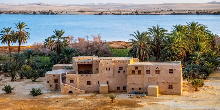 11 Stunning Desert Oases That Stay Lush Year‑round 10