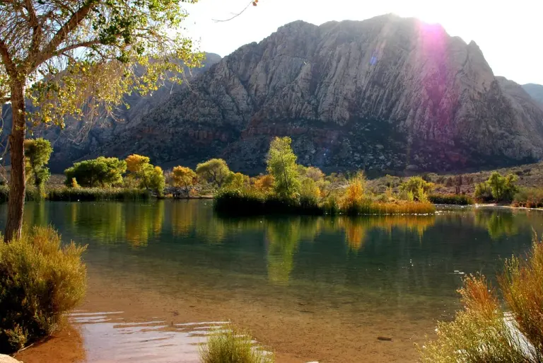 11 Stunning Desert Oases That Stay Lush Year‑round 11