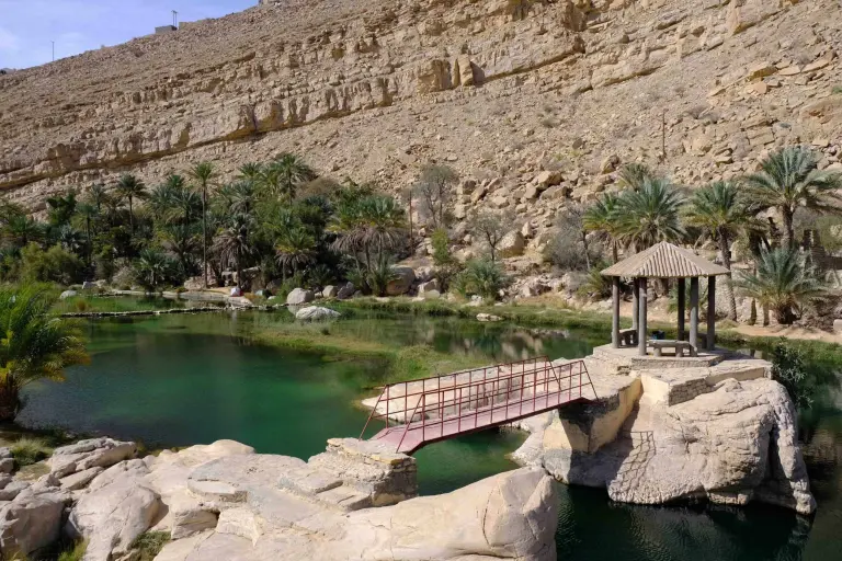 11 Stunning Desert Oases That Stay Lush Year‑round 2
