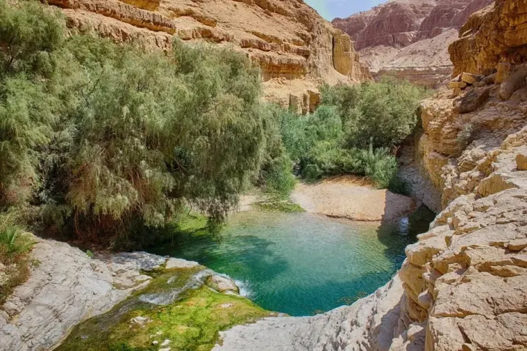 11 Stunning Desert Oases That Stay Lush Year‑round 4