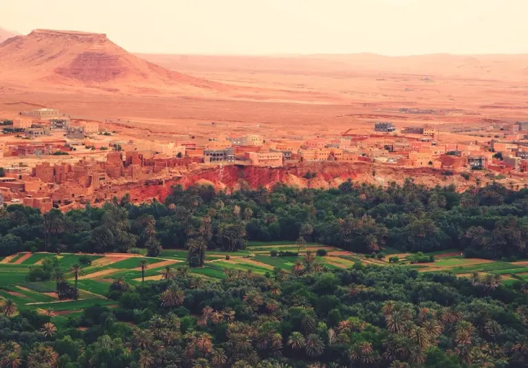 11 Stunning Desert Oases That Stay Lush Year‑round 5