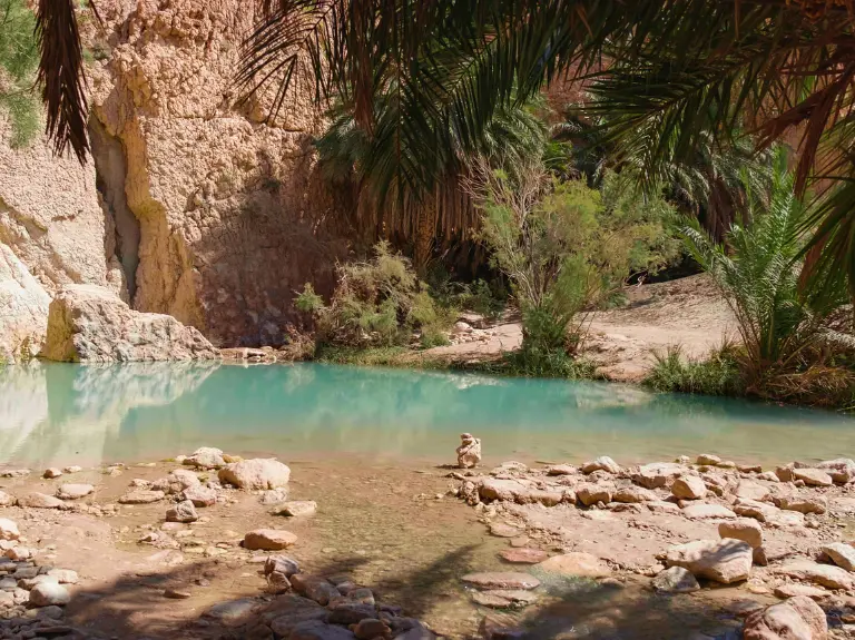 11 Stunning Desert Oases That Stay Lush Year‑round 7