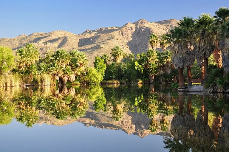 11 Stunning Desert Oases That Stay Lush Year‑round 8