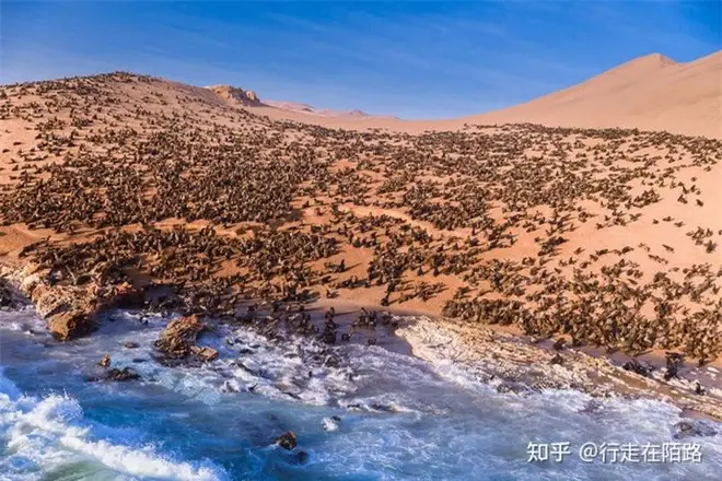 Skeleton Coast - The End of the Earth 14