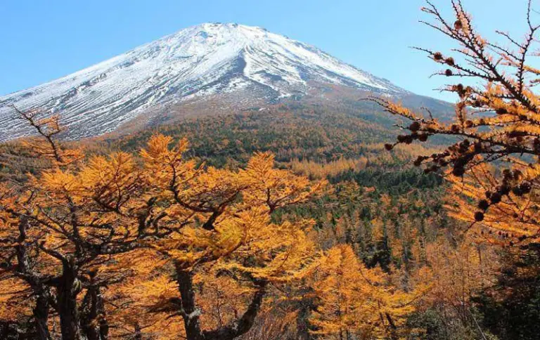 7 Stunning Places In Japan To Enjoy Autumn Leaves With A View Of Mount Fuji 3
