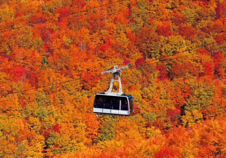 7 Stunning Places In Japan To Enjoy Autumn Leaves With A View Of Mount Fuji 5
