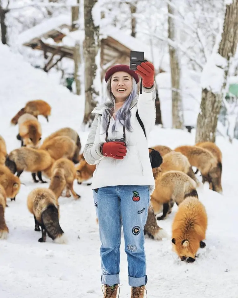 Discover The Charming Fox Village Of Japan 8
