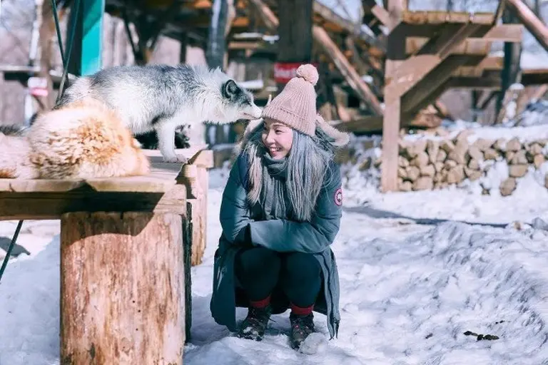 Discover The Charming Fox Village Of Japan 9