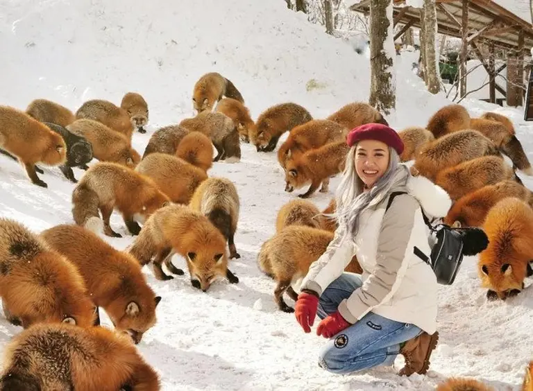 Discover The Charming Fox Village Of Japan Featured