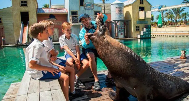 Discover Gold Coast 6