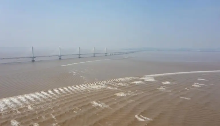 Fish Scale Tides 2