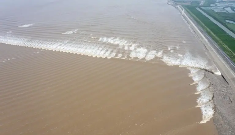 Fish Scale Tides 3