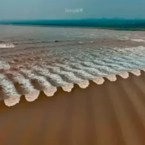 Fish Scale Tides