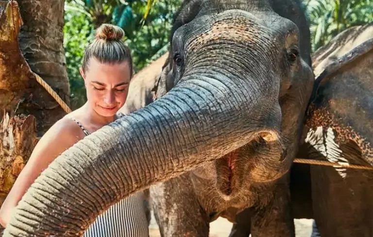 Must-try Adventures When Traveling In India 5