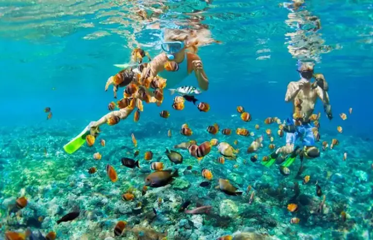 Must-try Adventures When Traveling In India 6