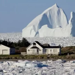 Admire Gigantic Icebergs Floating Past Your Doorstep At Newfoundland