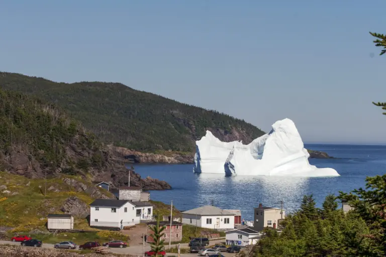 Admire Gigantic Icebergs Floating Past Your Doorstep At Newfoundland 4