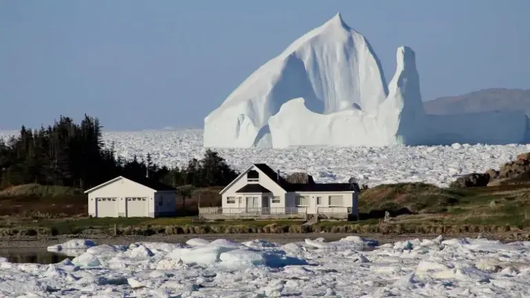 Admire Gigantic Icebergs Floating Past Your Doorstep At Newfoundland