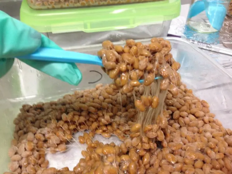 The “superfood” Of Japan With A Challenging Smell 1