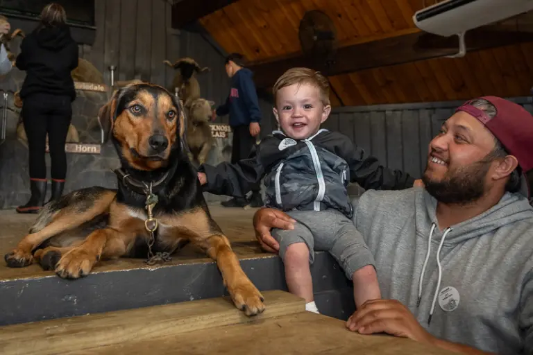 Agrodome Farm In New Zealand 5