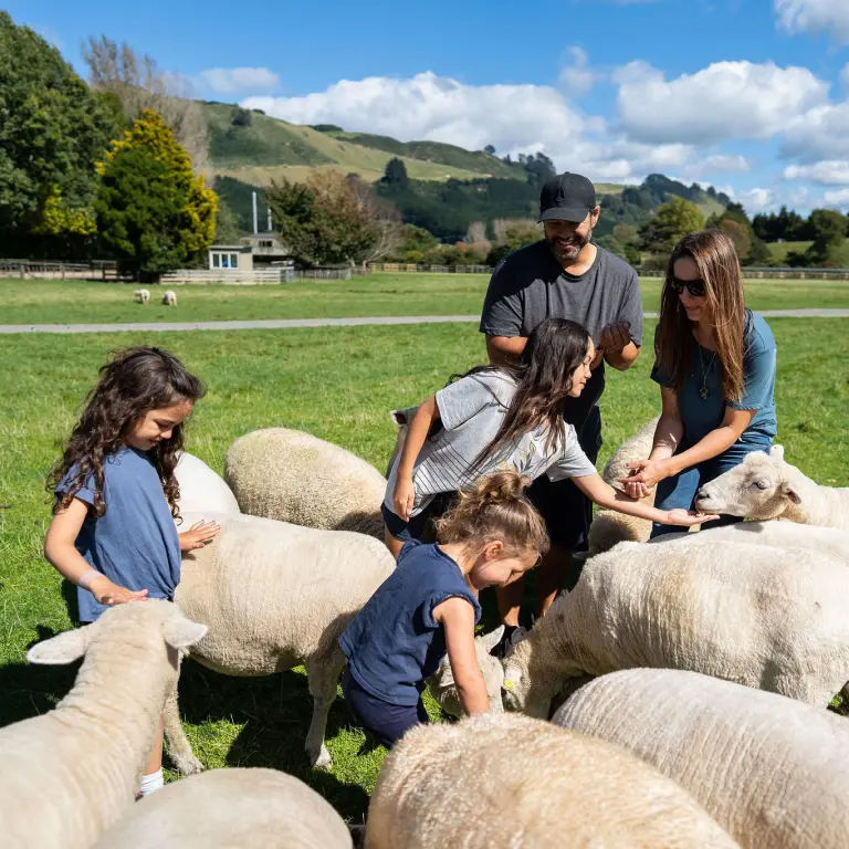Agrodome Farm In New Zealand 6