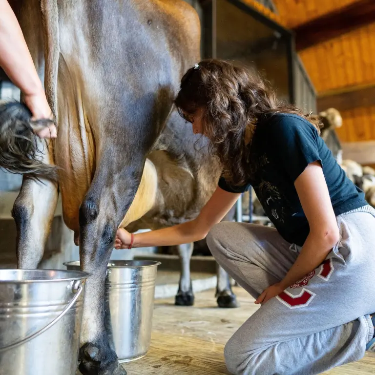 Agrodome Farm In New Zealand 7