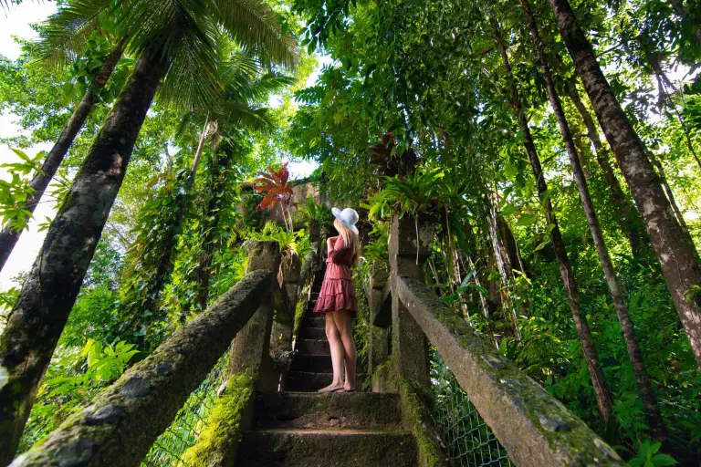Enchanted By The “green Wonder” Of Paronella Park, Australia 6