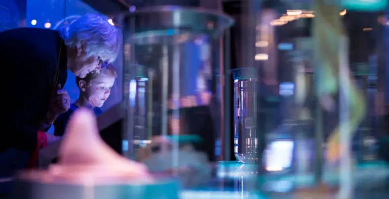 Explore The Natural And Cultural History Of New Zealand At Te Papa Tongarewa Museum 11