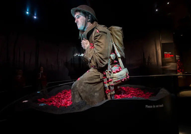 Explore The Natural And Cultural History Of New Zealand At Te Papa Tongarewa Museum 5