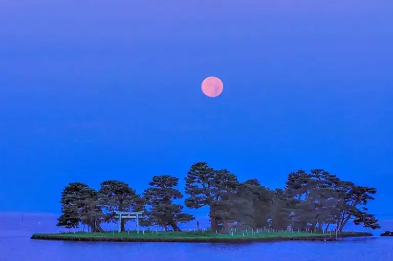 10 Hidden Torii Gates In Japan You Probably Haven’t Heard Of 1